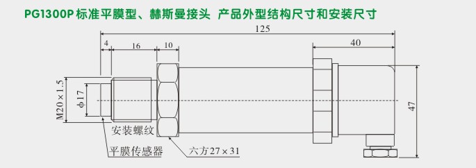 防爆压力传感器,PG1300P防爆平膜压力变送器外型尺寸及安装图