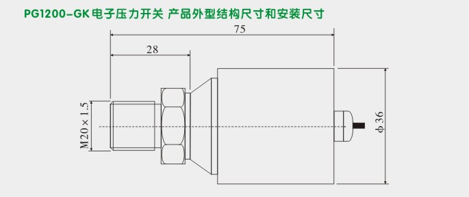 电子式压力开关,PG1200K压力开关外型尺寸及安装图